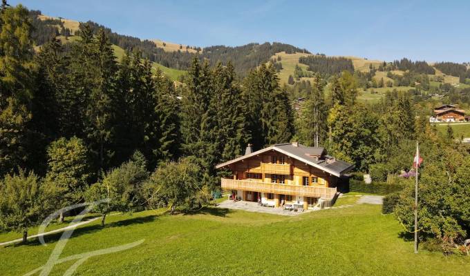 Seasonal rental Chalet Gstaad