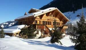 Seasonal rental Chalet Lauenen bei Gstaad