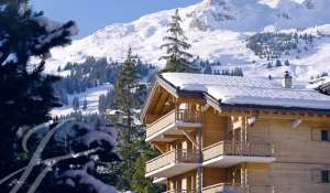 Seasonal rental Mansion Verbier