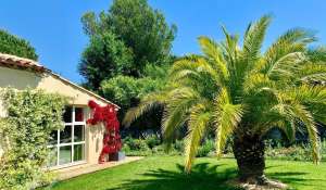 Seasonal rental Property Grimaud