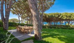 Seasonal rental Property Saint-Tropez