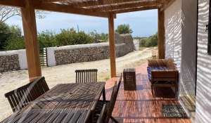 Seasonal rental Villa Alaior