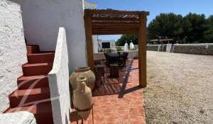 Seasonal rental Villa Alaior