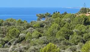 Seasonal rental Villa Alaior