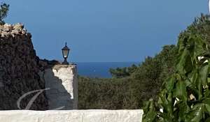 Seasonal rental Villa Alaior