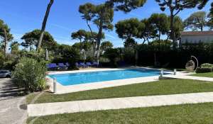 Seasonal rental Villa Antibes