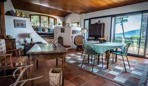 Seasonal rental Villa Lecci