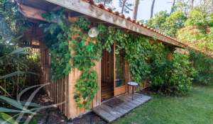 Seasonal rental Villa Lège-Cap-Ferret