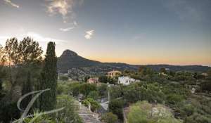 Seasonal rental Villa Puigpunyent