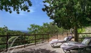 Seasonal rental Villa Puigpunyent