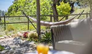 Seasonal rental Villa Puigpunyent