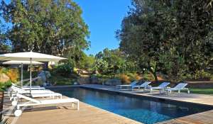 Seasonal rental Villa Sainte-Lucie-de-Porto-Vecchio