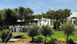 Seasonal rental Villa Sant Lluís