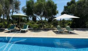 Seasonal rental Villa Sant Lluís