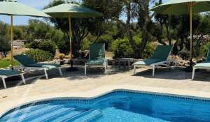 Seasonal rental Villa Sant Lluís