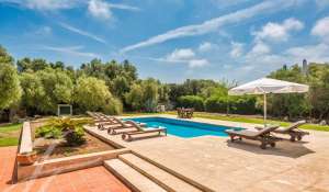 Seasonal rental Villa Sant Lluís